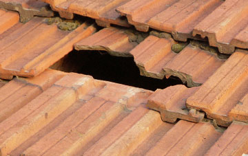 roof repair Twynllanan, Carmarthenshire